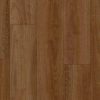 Spotted Gum