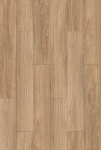 Blackbutt