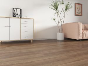 Spotted Gum