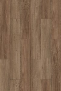 Spotted Gum